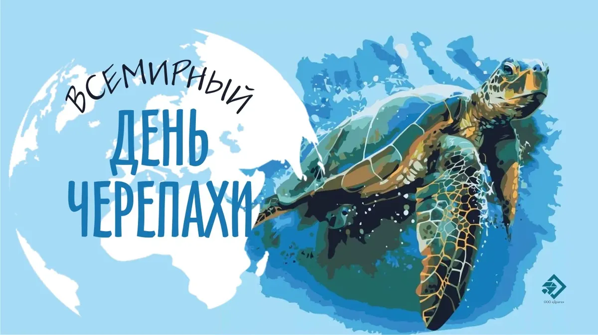 Всемирный день черепахи. Иллюстрация: «Весь Искитим»