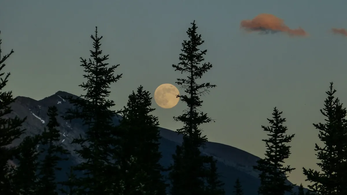 Ритуалы благодарности в Полнолуние Бобровой Луны: что еще нужно сделать 27 ноября 2023 года