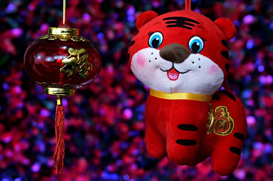 Китайский Новый год: что принесет год Тигра каждому знаку индивидуально