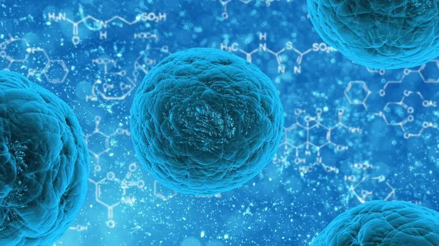 Космос хотят использовать для развития медицины стволовых клеток и других биопроизводств