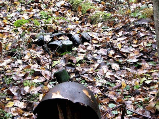 Останки обнаружили в Смоленской области 