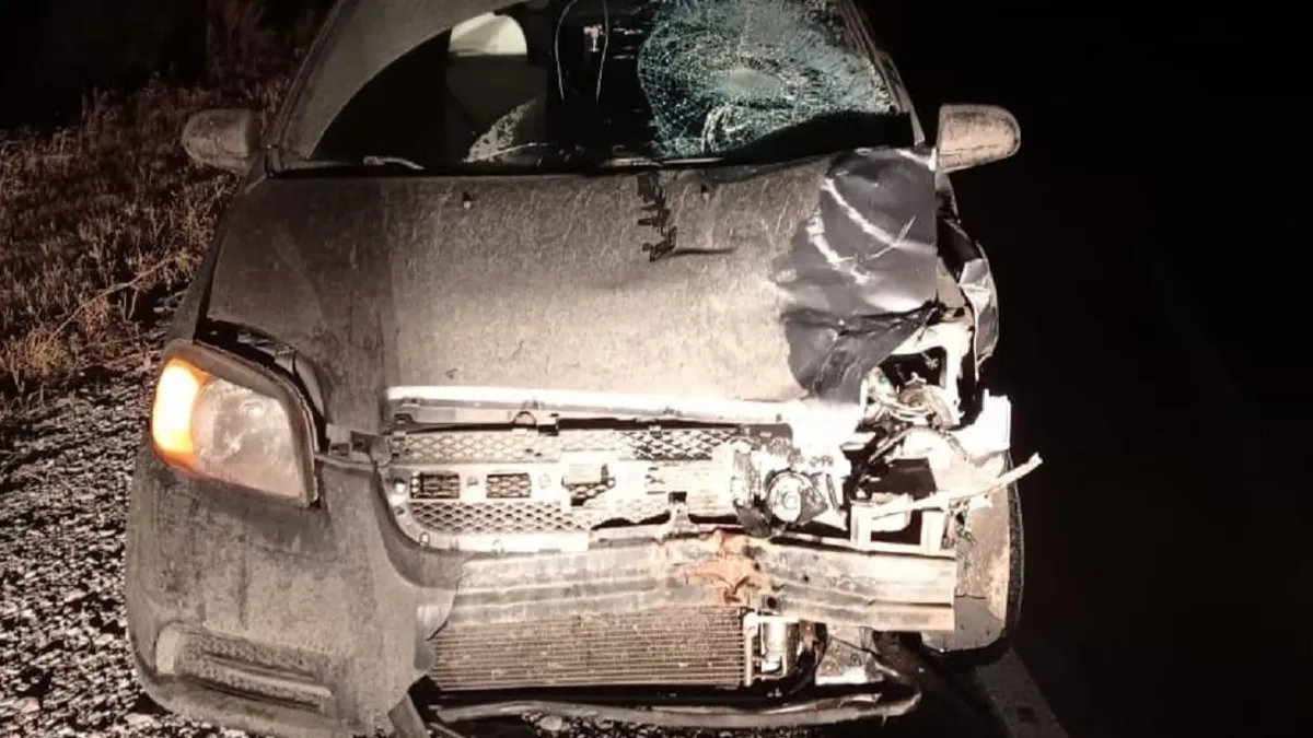 Смертельное ДТП под Новосибирском: В Чанах 18-летний юноша бросился под колеса Chevrolet Aveo