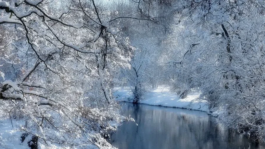 зима, снег