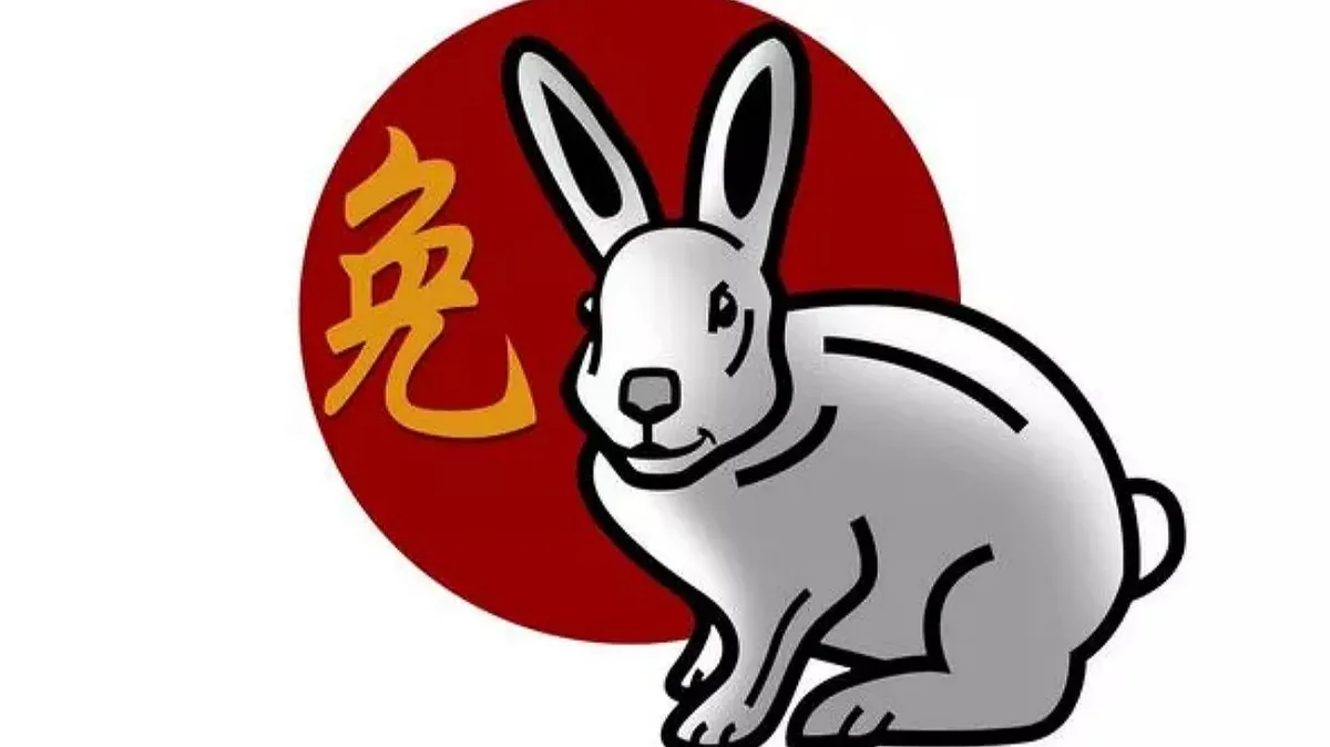Китайский гороскоп 2023: Кролик должен избегать трех вещей или рисковать «необратимым вредом» (Изображение: Гетти)
