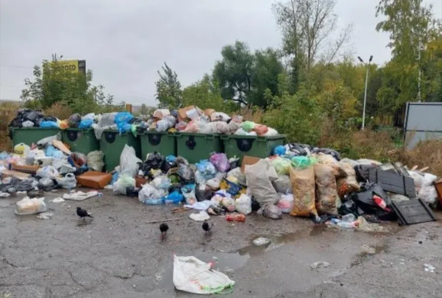 Регоператор «Экология-Новосибирск» пообещал не завалить мусором Искитим в каникулы Нового года-2022. Публикуем спецномер для жалоб