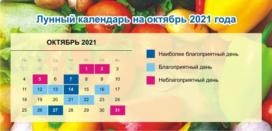 Лунный календарь октябрь благоприятные дни. Лунный календарь на октябрь 2021г. Лунный календарь на октябрь 2021 года. Неблагоприятные дни в октябре. Неблагоприятные дни в октяб.