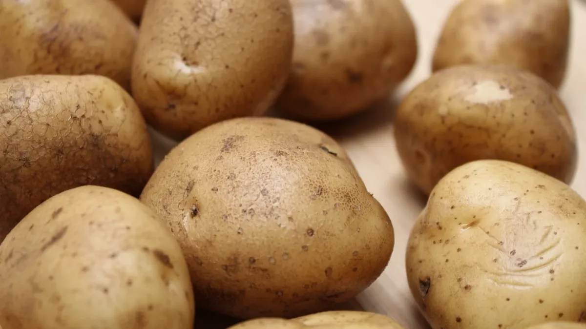 Урожай картошки. Фото: 