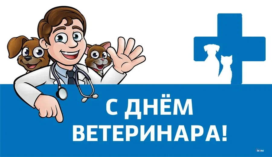 Весь Искитим