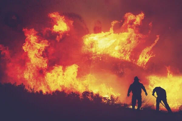 В Новосибирской области сохранится пожароопасность