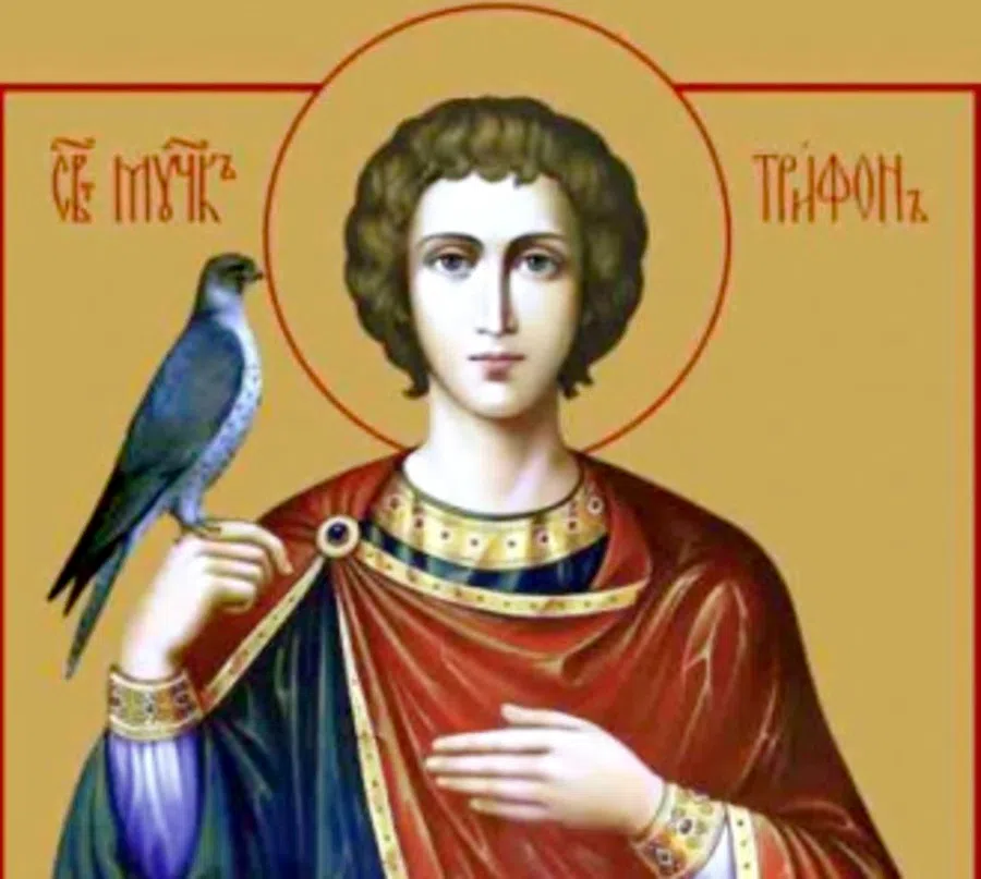 Дни памяти трифона. Житие мученика Трифона Апамейского Никейского.