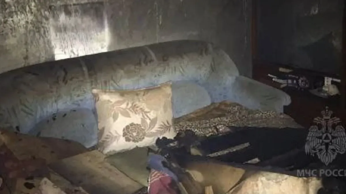 Наполовину обгорела пенсионерка при пожаре в Бердске, кота спасти не удалось