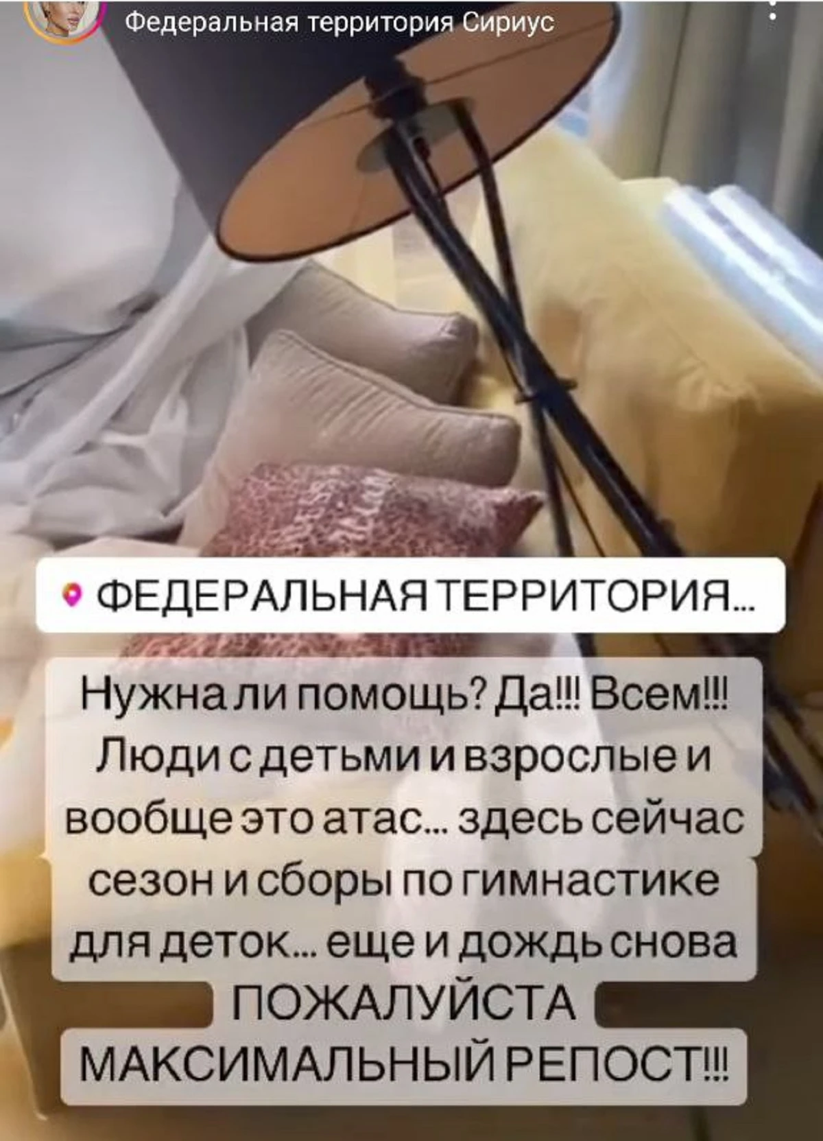 Элина Камирен / Instagram* (принадлежит Meta*, она запрещена в России и признана экстремистской)