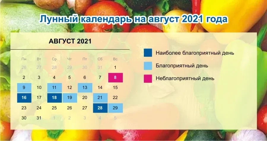 Весь Искитим