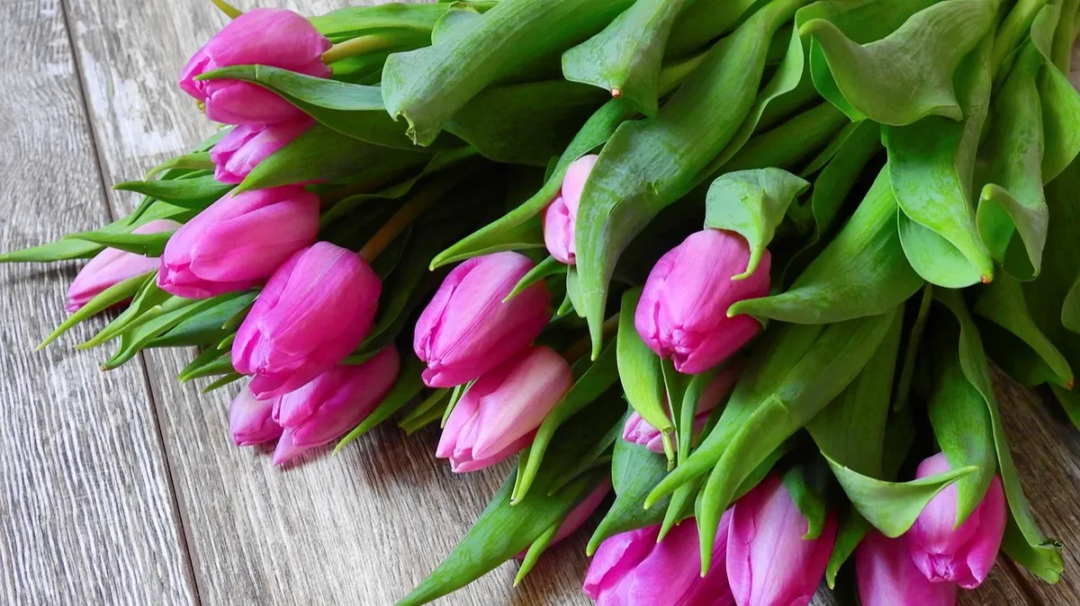 Сколько тюльпанов дарят на 8 марта — какие цветы по приметам можно купить маме, бабушке, сестре, жене и девушке  