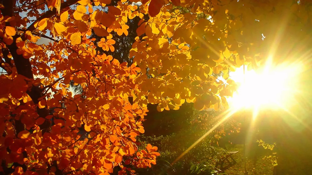 В день осеннего равноденствие солнце меняет полушария. Фото: pxhere.com