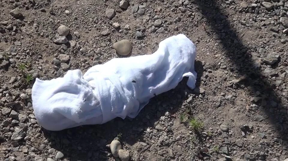 В Западной Сибири нашли расчлененное тело младенца