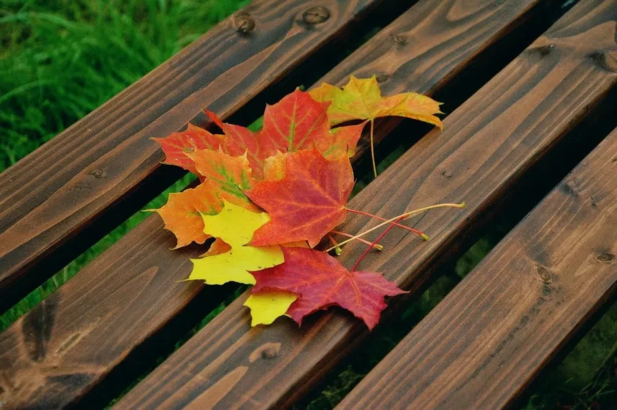 pixabay.com