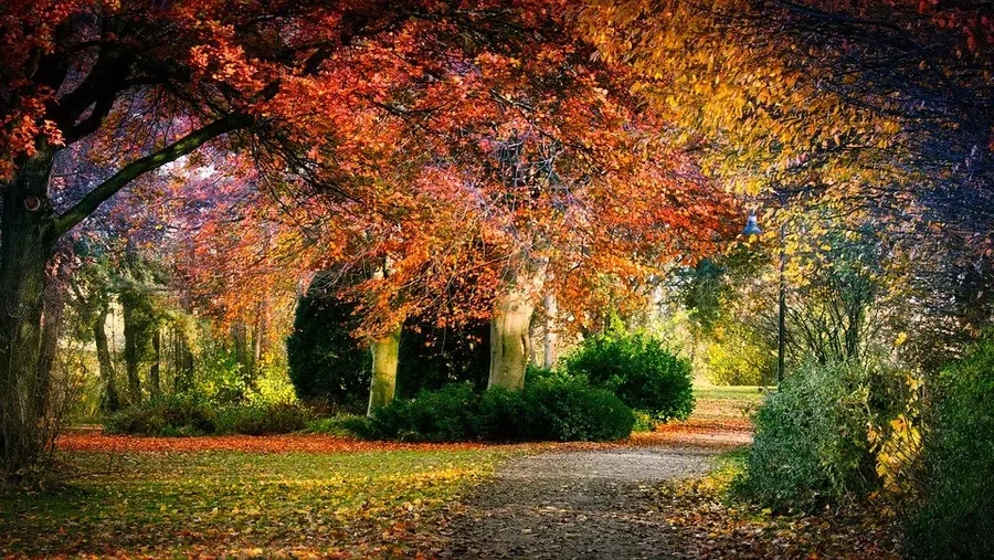 pixabay.com