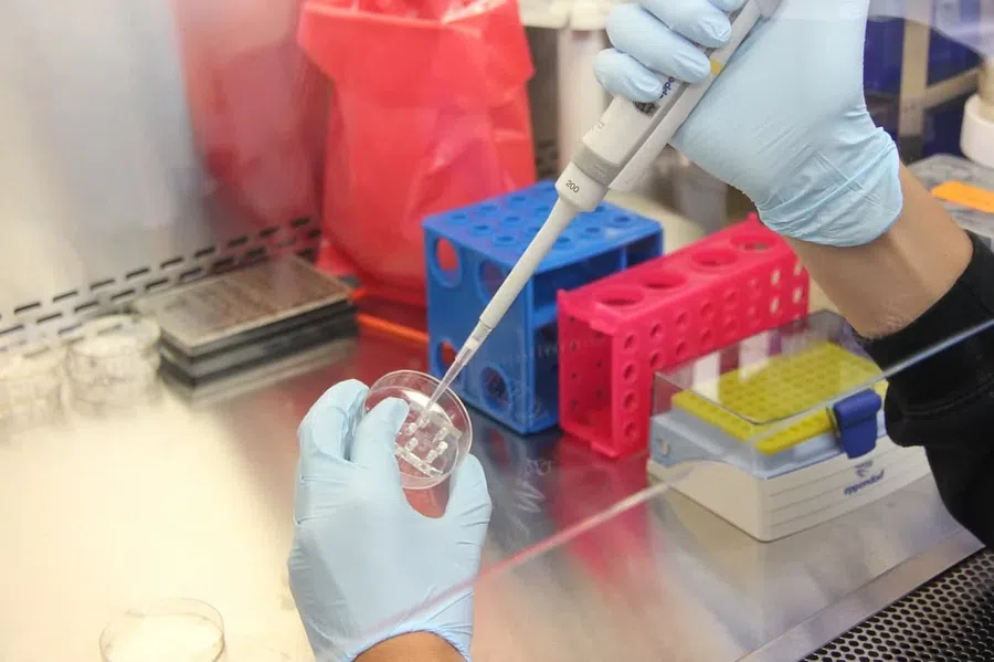 Вирусолог усомнился в возможностях российских лабораторий выявлять «омикрон»-штамм коронавируса
