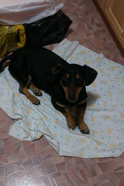 IMAG2523