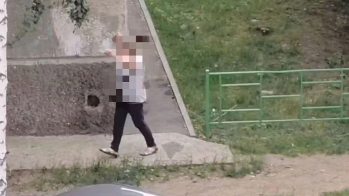 Женщина в Новосибирске справила нужду во дворе и пустилась в пляс