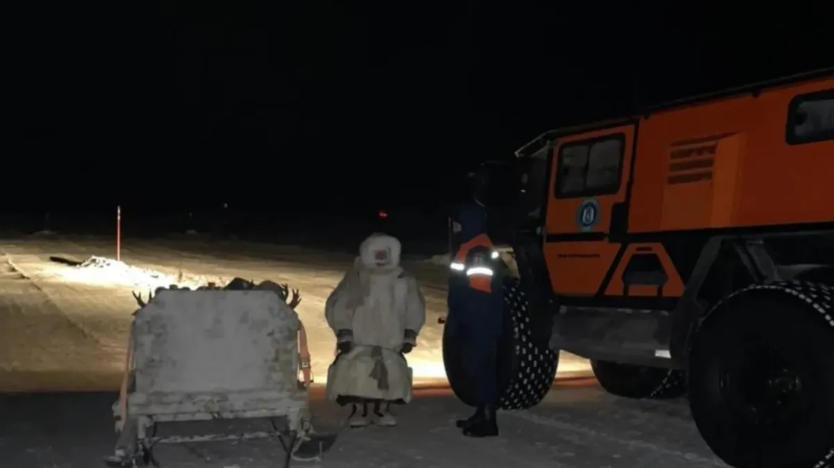 Ямальские спасатели нашли в тундре потерявшегося ночью в 38-градусный мороз ребенка