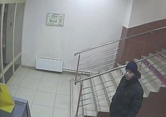 Подозревается в краже