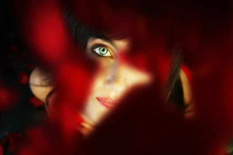 pixabay.com