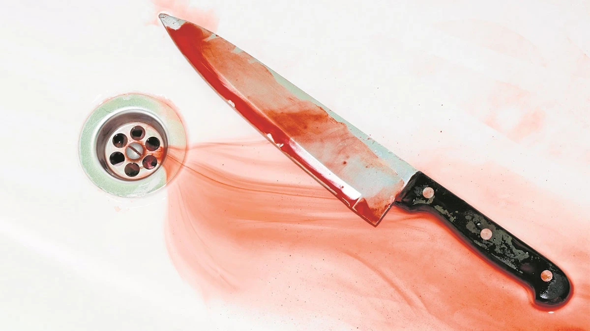 Женщина в Искитиме нанесла мужу ножевое ранение. Фото: Shutterstock.com
