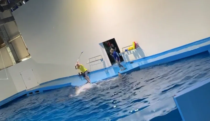 В Екатеринбургском океанариуме тренер избил дельфина палкой на репетиции