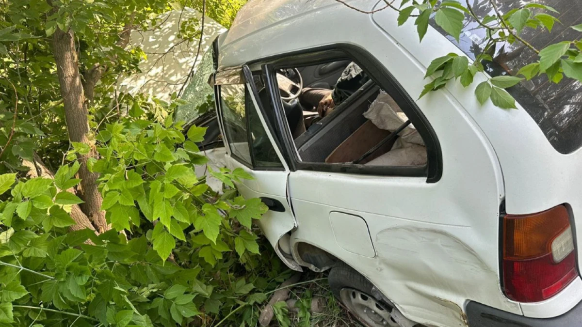 В Бердске водитель Toyota врезался в дерево и разбился