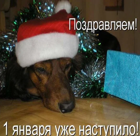 Первый день Нового года - 1 января. Фото: Fresh-cards.ru