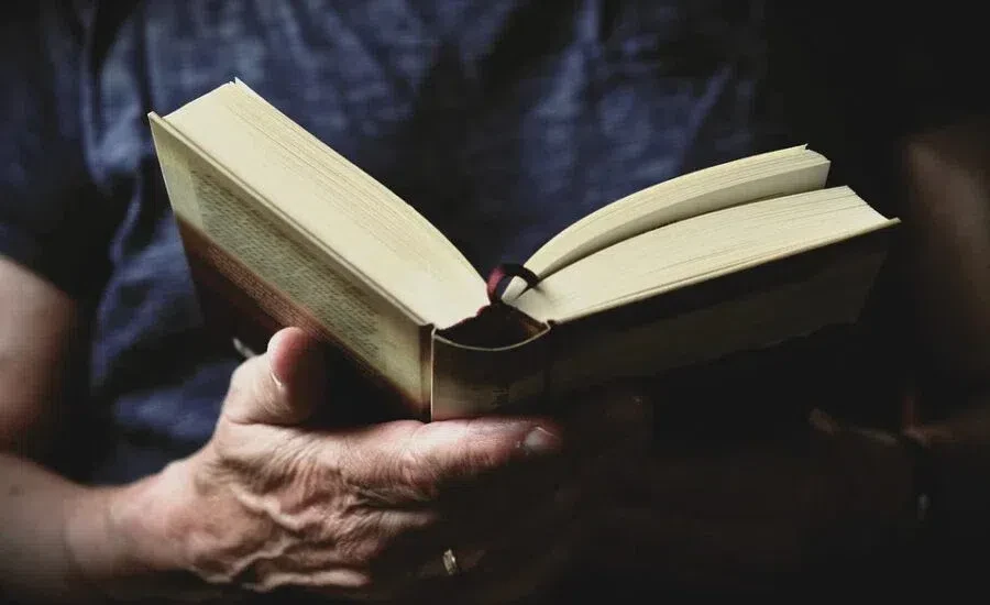 книга читатель