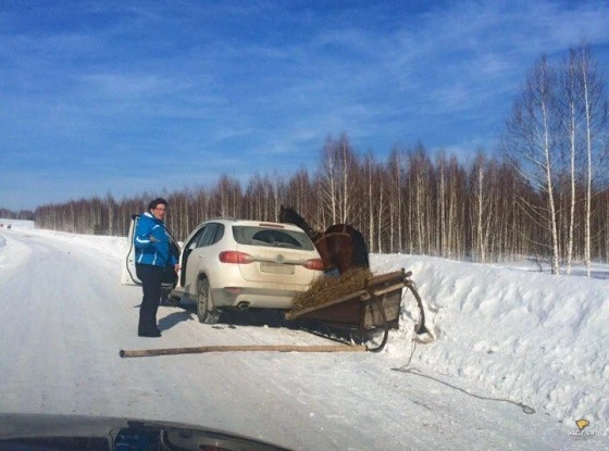 Иномарка врезалась в повозку