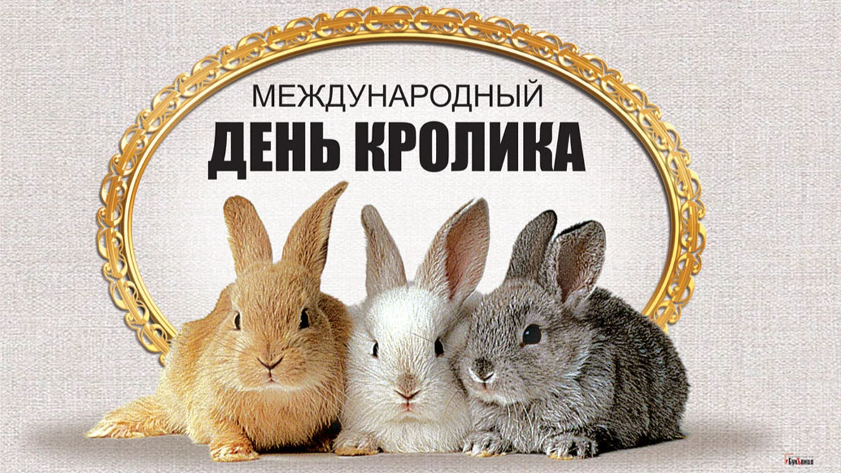 Милые открытки и теплые стихи в Международный день кролика 24 сентября