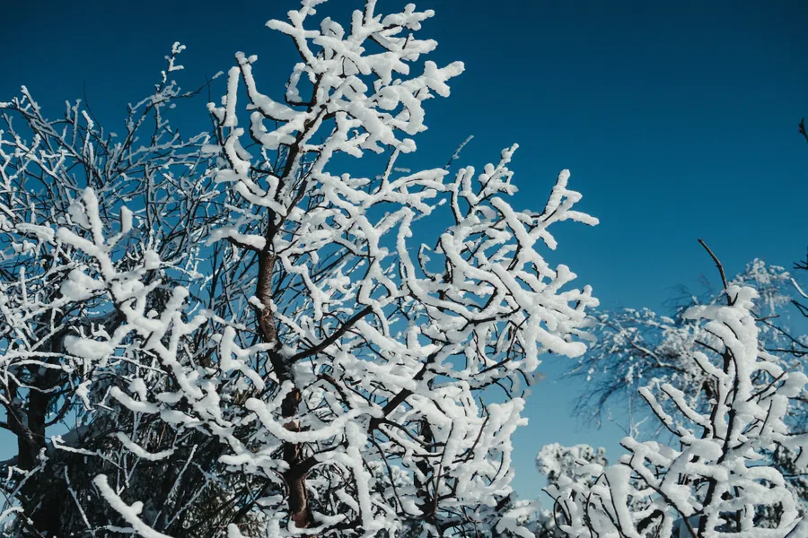 Погода в Искитиме 17 ноября 2021: понижение температуры и возвращение зимних морозов начнется в этот день