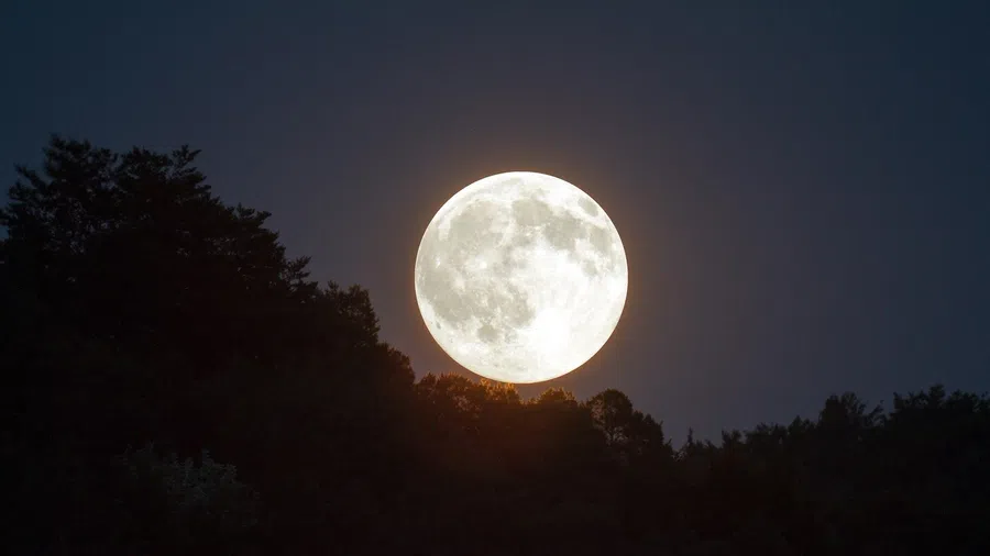 19 декабря 2021 года Полнолуние в Близнецах: советы для каждого знака Зодиака, какой ритуал провести в последнюю полную Луну уходящего года и как прожить уникальный день?