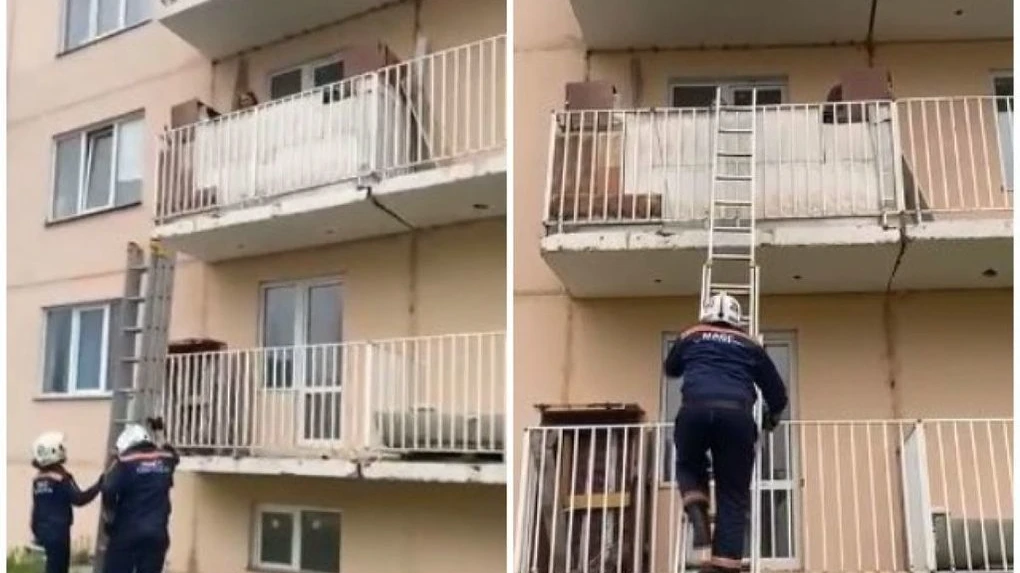 В Новосибирске собака закрыла хозяйку на балконе