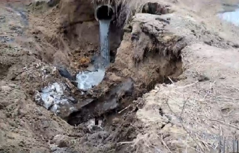 Фото: кадр видео НГИ