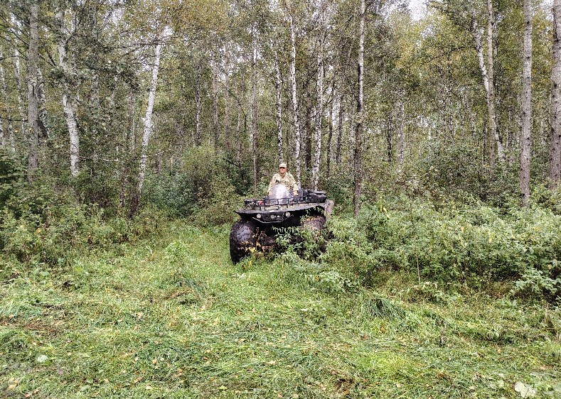 nso.ru
