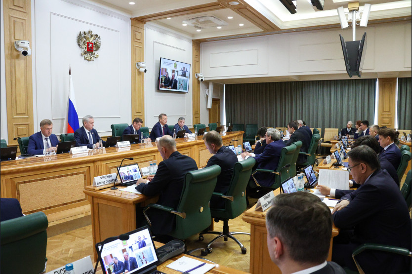 Фото: Денис Вышинский/Пресс-служба Совета Федерации