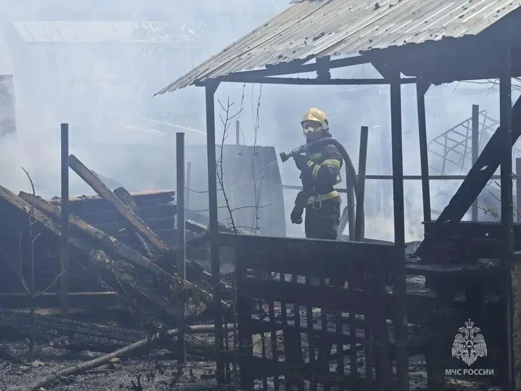 ФОТО: МЧС НОВОСИБИРСКОЙ ОБЛАСТИ 