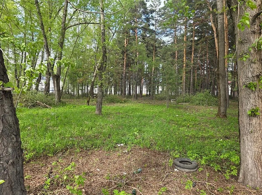 Фото пресс-службы Александра Аксёненко
