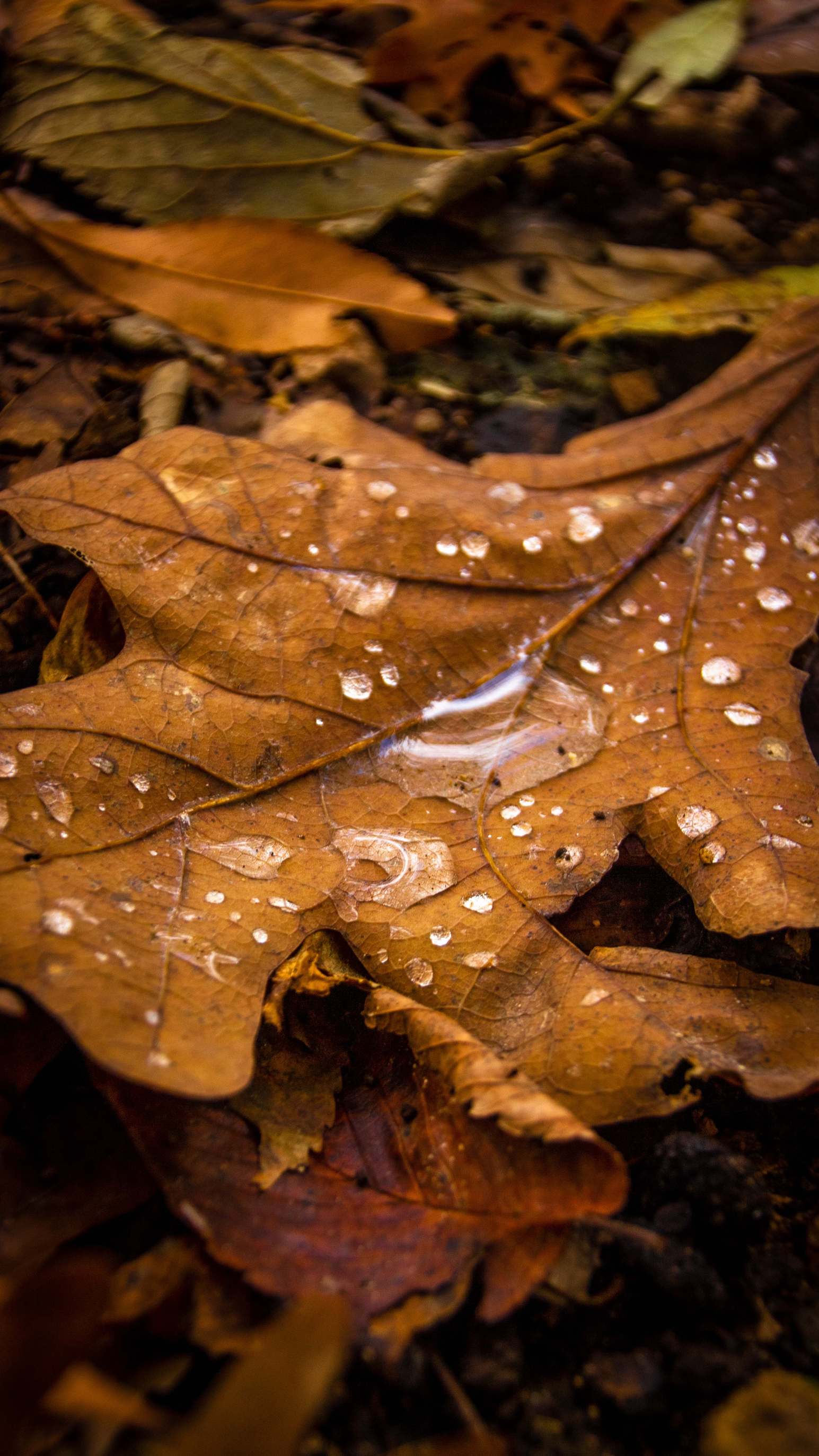 ФОТО: FREEPIK 