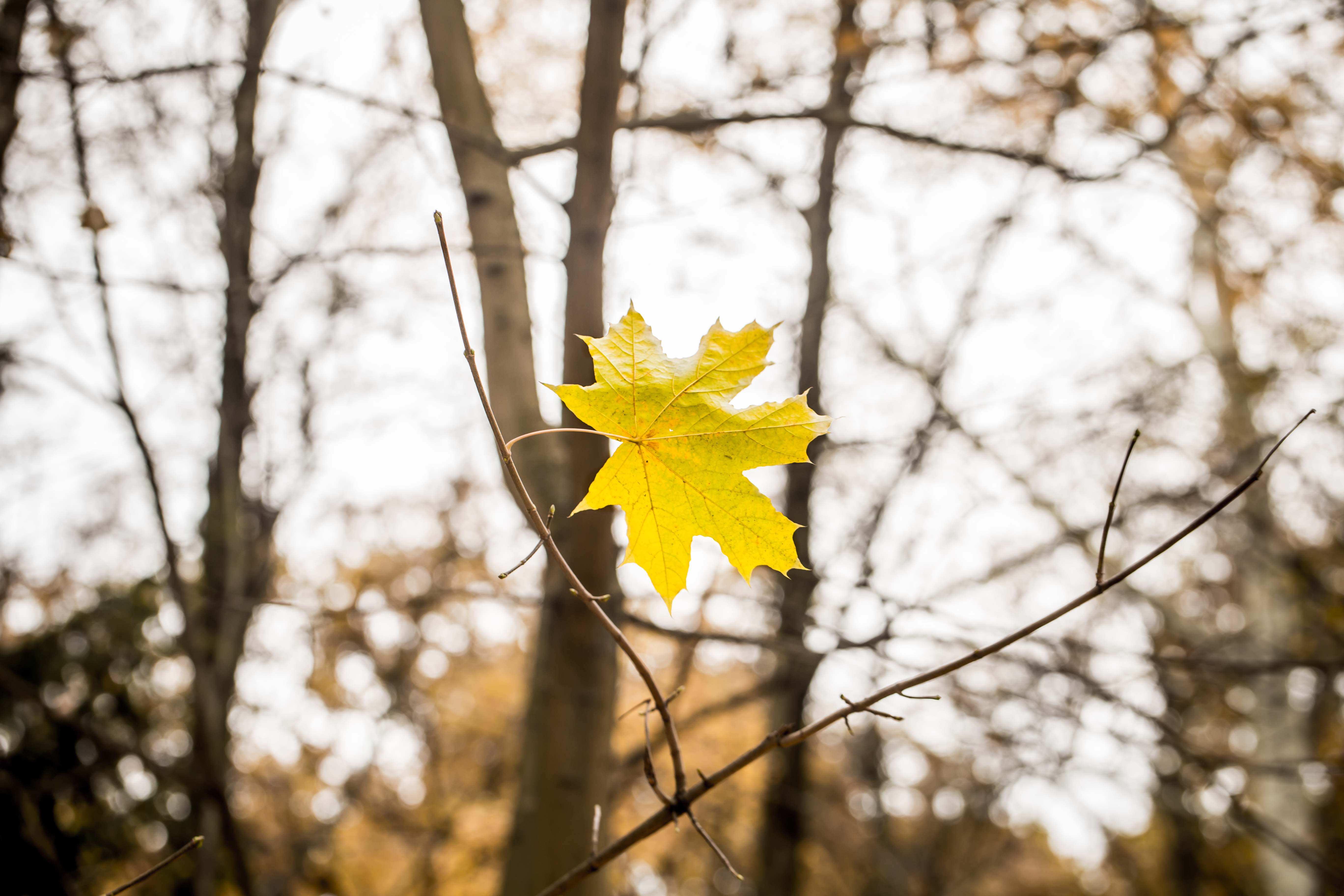 ФОТО: FREEPIK 